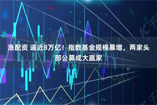 涨配资 逼近8万亿！指数基金规模暴增，两家头部公募成大赢家