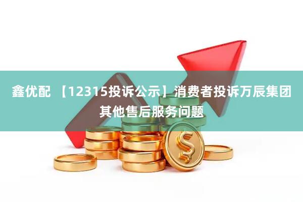 鑫优配 【12315投诉公示】消费者投诉万辰集团其他售后服务问题